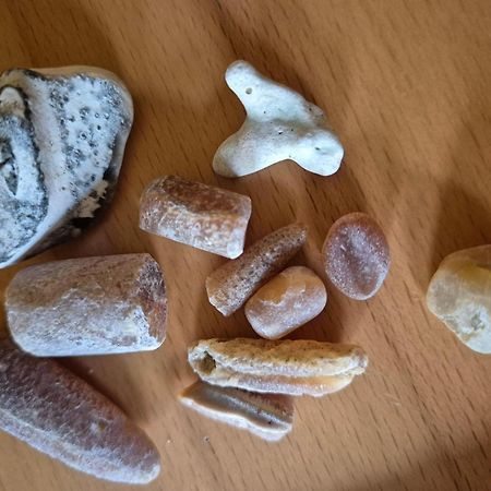 Ferienwohnung-Wildblume Petersdorf auf Fehmarn Bagian luar foto