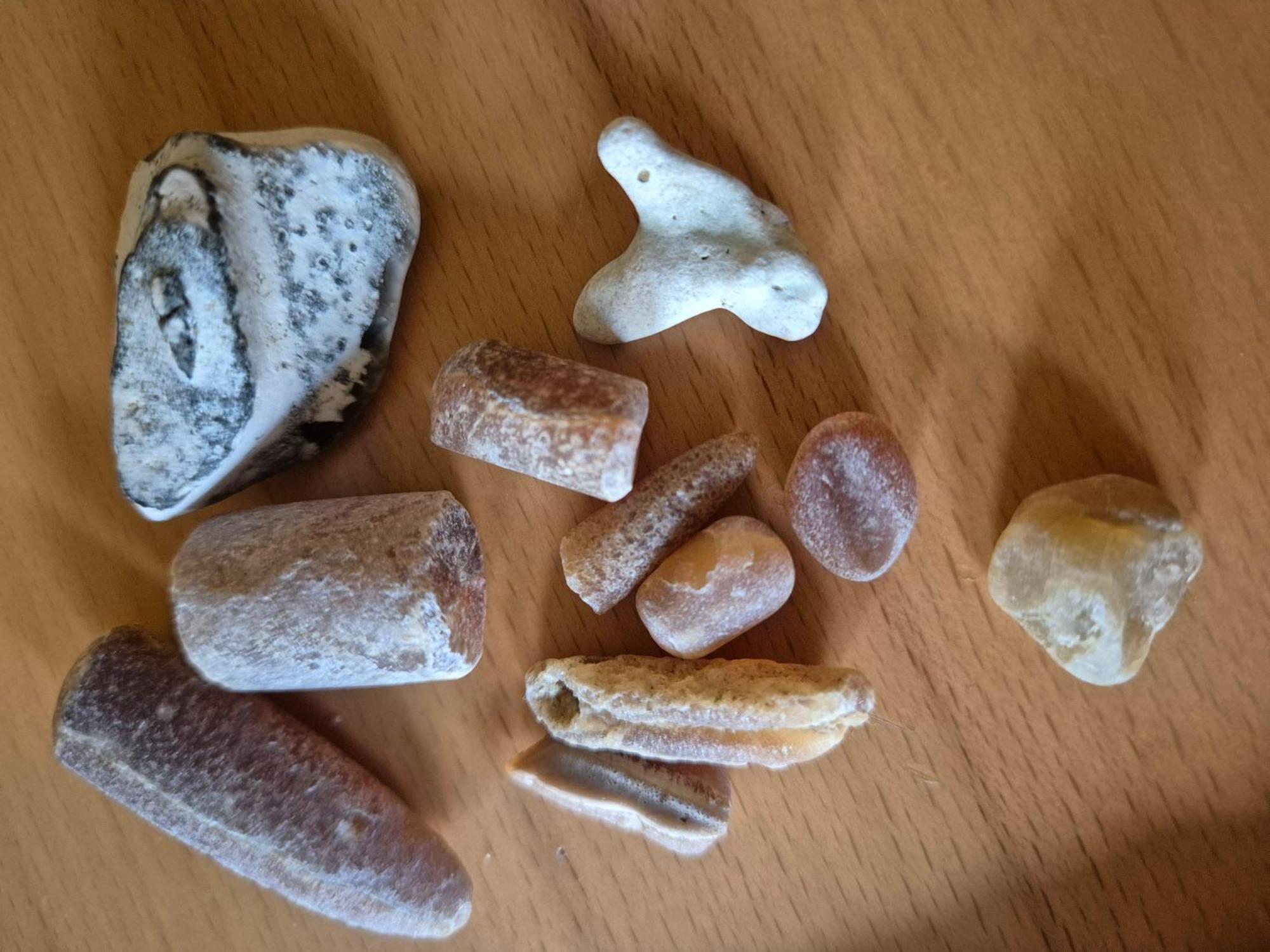 Ferienwohnung-Wildblume Petersdorf auf Fehmarn Bagian luar foto