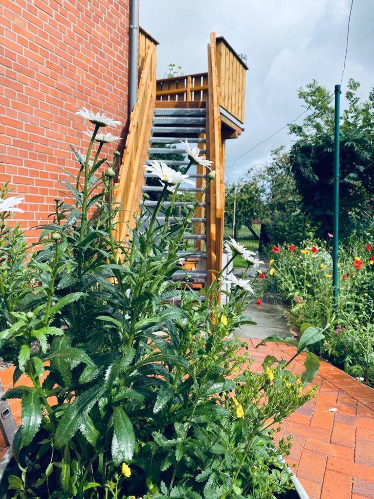 Ferienwohnung-Wildblume Petersdorf auf Fehmarn Bagian luar foto