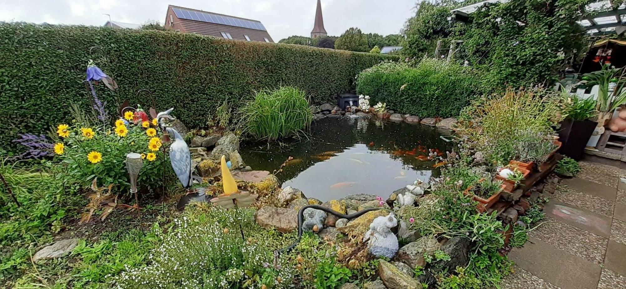 Ferienwohnung-Wildblume Petersdorf auf Fehmarn Bagian luar foto